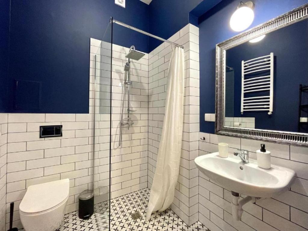 Petite Visite No 4a I 4b Apartment Torun
